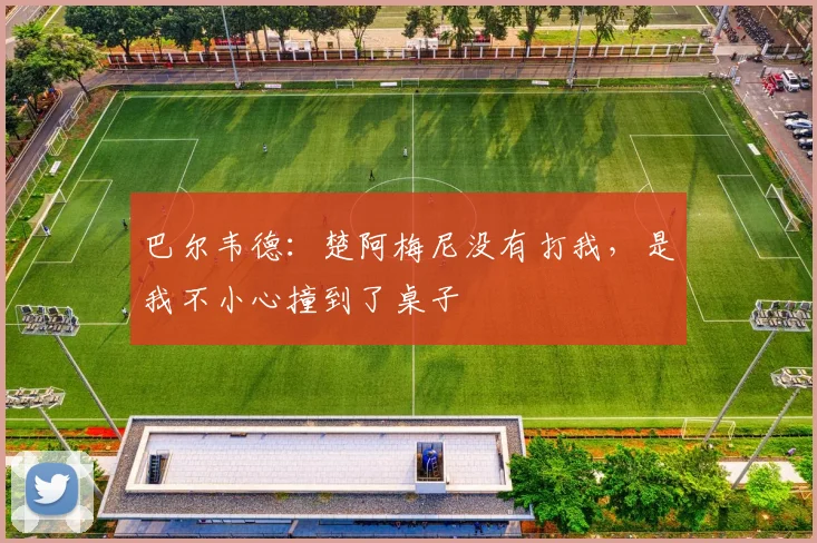 巴尔韦德：楚阿梅尼没有打我，是我不小心撞到了桌子