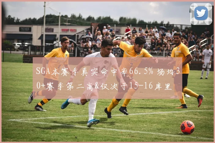 SGA本赛季真实命中率66.5% 场均30+赛季第二高&仅次于15-16库里