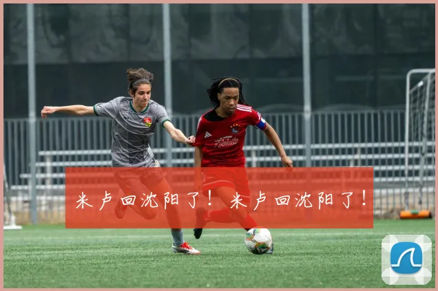 米卢回沈阳了！米卢回沈阳了！