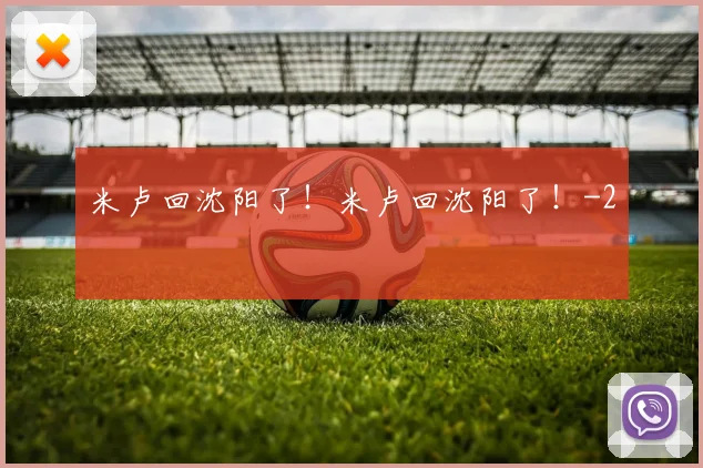 米卢回沈阳了!米卢回沈阳了!